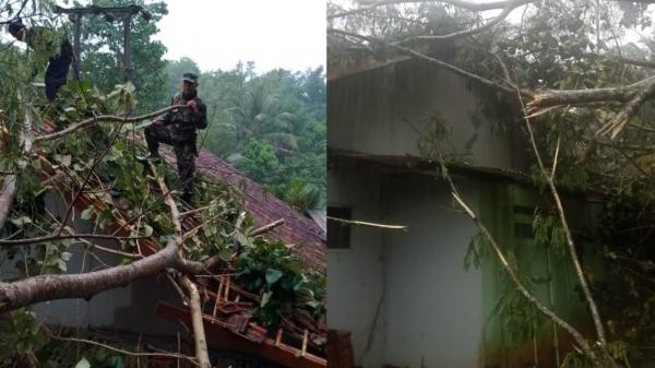 Pohon Tumbang Timpa 2 Rumah Warga Imbas Hujan Deras Disertai Angin Kencang di Ciamis