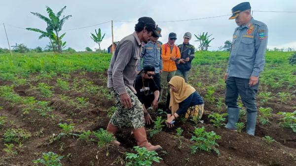 Hari Pohon Sedunia, Warga di Kampung Jayasena Garut Tanam 1000 Pohon