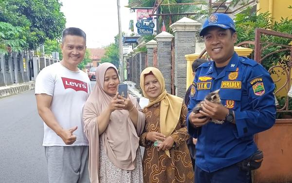 3 Hari Terjebak Gorong-Gorong, Kucing Belang Tiga di Ciamis Berhasil Diselamatkan Petugas Damkar