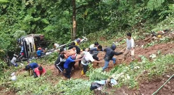 Bus Medium dari Toraja Terjun ke Jurang di Palopo, 3 Korban Meninggal