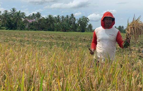 Kutai Kartanegara Mantapkan Pemetaan Pertanian di Hulu Mahakam untuk Ketahanan Pangan