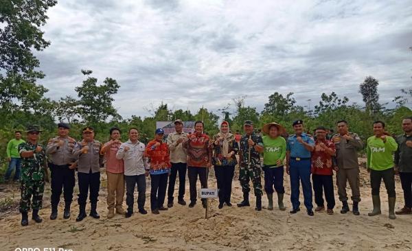 Kodim Bangka Selatan Tanam Puluhan Ribu Pohon Kayu Putih di Lahan Kritis