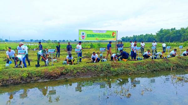 Kurangi Dampak Perubahan Iklim, Pertamina EP Cepu Sukowati Field Tanam Ribuan Pohon di Bojonegoro