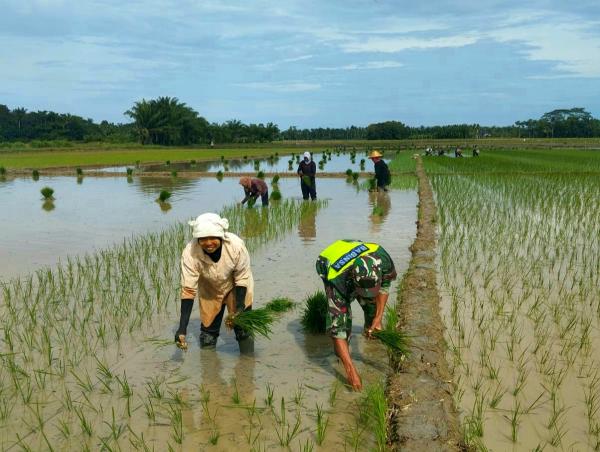 Danrem Lilawangsa Kerahkan Babinsa TNI Sebagai Ujung Tombak Pertanian Masyarakat