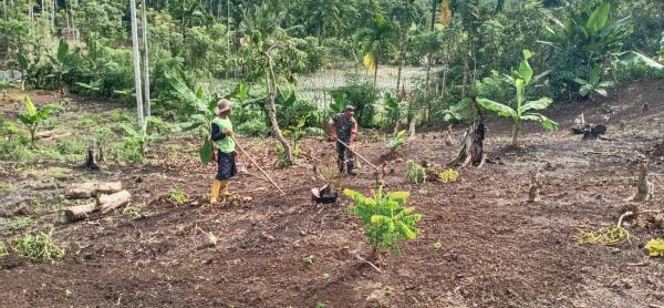 Anggota Koramil 18 Tripa Pijay Bersama Warga Bersihkan Kebun untuk di Jadikan Lahan Bercocok Tanam