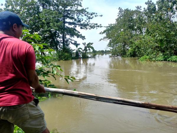 Selamatkan Benih Padi, Pemuda Jombang Hilang Terseret Sungai Watudakon, Nasibnya Belum Diketahui!