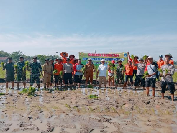 Gerakan Tanam Padi di Kembangbahu Dukung Peningkatan Produksi Pertanian