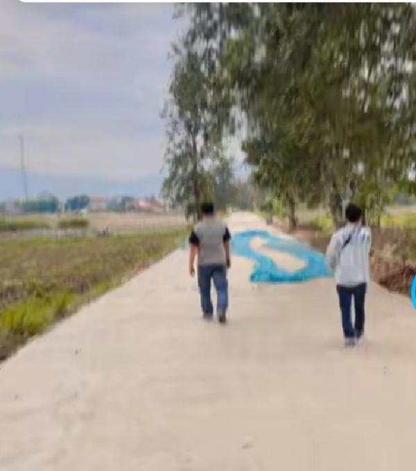 Pembangunan Jalan Rabat Beton Rp 2 Miliar di Tulung Agung Viral