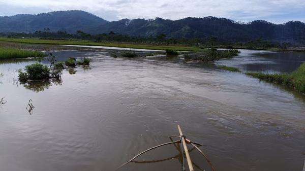 Sering Meluap, Petani Blok Sindu Mendesak Pemerintah Segera Lakukan Normalisasi Sungai Brukah