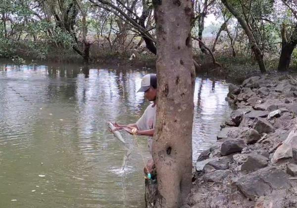 Di Balik Musibah, Sejumlah Warga Raup Untung Berkat Banjir Rob