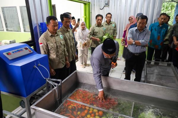 Teknologi D’Ozone Bantu Petani Wonosobo Simpan Cabai dan Tomat 2 Bulan