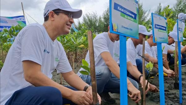 FOTO: IDSurvey Tanam Mangrove di Pantai Tirang, Harapan Baru Lawan Abrasi