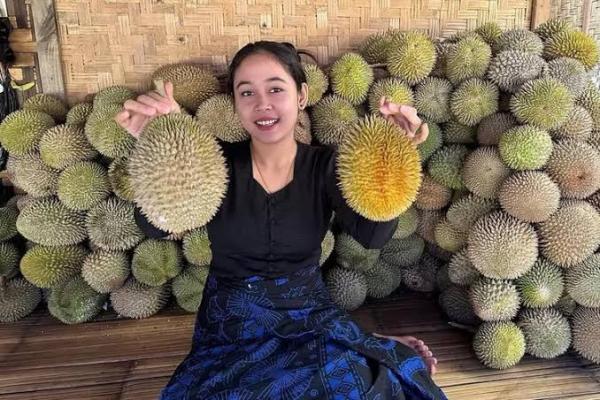 Buruan Icip-icip Durian Matang Pohon di Baduy Lebak, Murah Banget Lagi Panen Raya