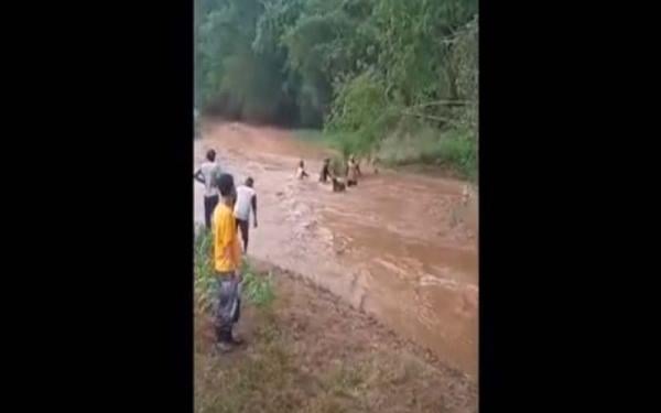 Warga Tuban Nekat Terobos Banjir Bandang, Terseret 200 Meter Beserta Motor