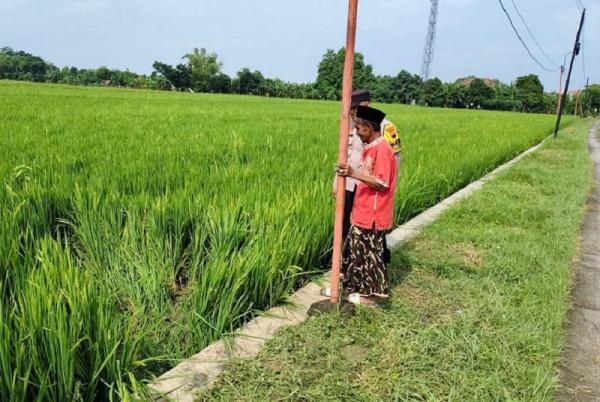 Warga Desa Curug Tegowanu Ditemukan Meninggal Tercebur di Sawah Bersama Sepeda Motornya