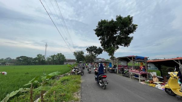 Pesona Belanja dengan Pemandangan Sawah yang Memukau, di Wilayah Dander Bojonegoro