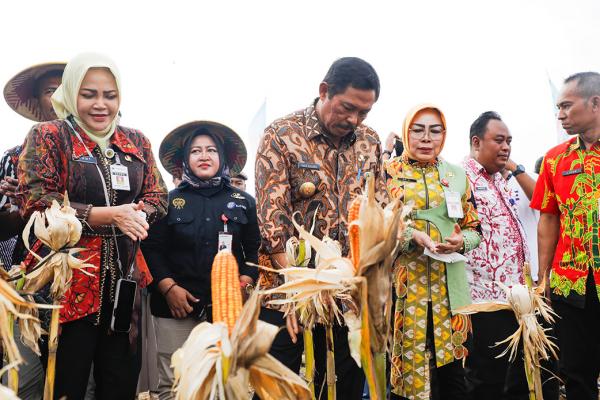 Panen Raya Jagung dan Peluncuran BKK Si Manis Mart di Grobogan untuk Swasembada Pangan