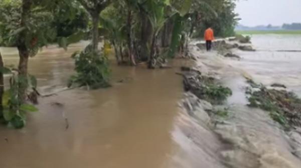 Banjir Melanda Majalengka, 235 Hektare Sawah Terendam dan 5 Tanggul Jebol