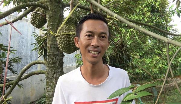 Mantan TKI di Lamongan Sukses Kembangkan Kebun Durian Premium