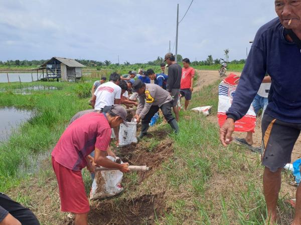 Debit Air Sungai Way Sekampung Terus Bertambah, Warga bendung tanggul dengan Kantong tanahDebit Air