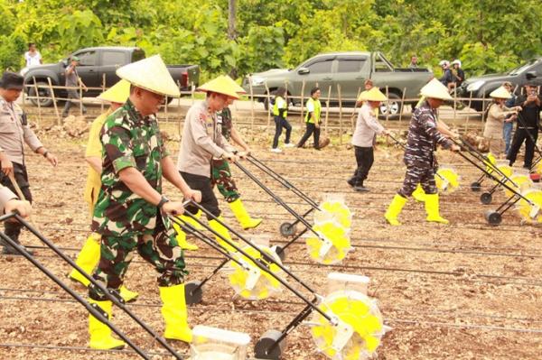 Demi Swasembada Pangan 2025, Polda NTT Ambil Peran dalam Penanaman Jagung Serentak 1 Juta Hektar 