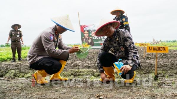 Pemkot Tegal Bersama Polres Tegal Kota Tanam Jagung di Lahan 1.000 Meter