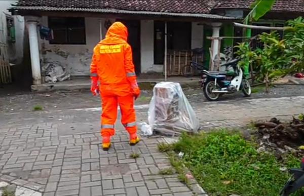 Rumah Warga Lumajang Dikuasai Tawon Vespa Selama Enam Bulan, Evakuasi Berlangsung Dramatis