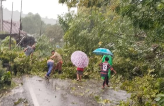 PLN ULP Tanggeung Lakukan Perbaikan Jaringan Listrik Akibat Dampak Angin Kencang