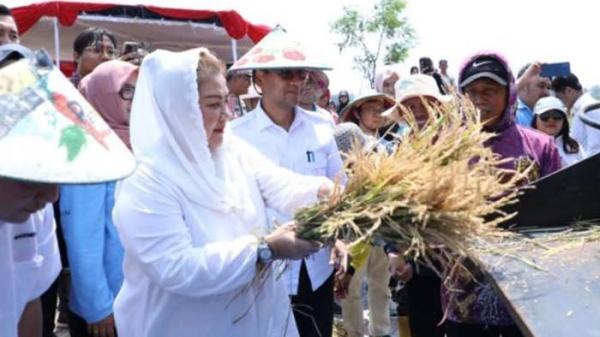 AJI Kecam Protokol hingga Satpol PP yang Larang dan Hadang Wartawan Wawancara Wali Kota Semarang