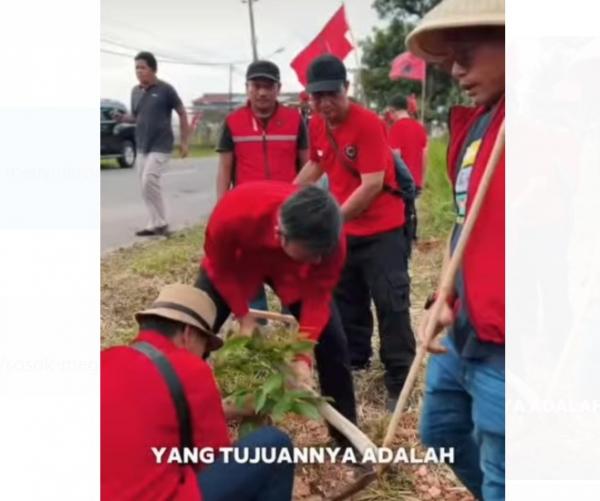 Peringati Hari Ulang Tahun Megawati, Kader di Jambi Tanam Pohon