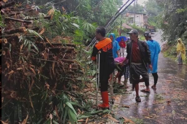 Longsor dan Runtuhan Bambu Tutup Akses Jalan di Sukamaju Ciamis