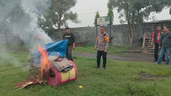 Polsek Krian Gerebek Judi Sabung Ayam, Belasan Ekor Ayam Diamankan Sebagai Barang Bukti