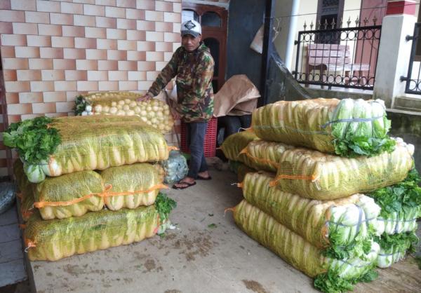 Ini Penyebab Harga Sayuran Anjlok di Momen Libur Panjang