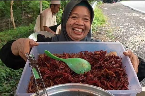 Belalang Goreng, Hidangan Ekstrem Gunungkidul yang Jadi Buah Bibir