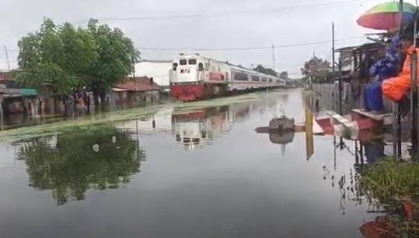 Banjir Rendam Ratusan Rumah di Pekalongan Barat, Rel Kereta Ikut Terendam