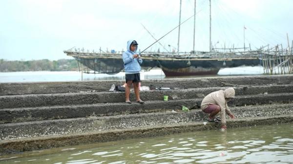 Cara Kerja FADS yang Segera Dipasang di Pesisir Demak, Meniru Fungsi Mangrove