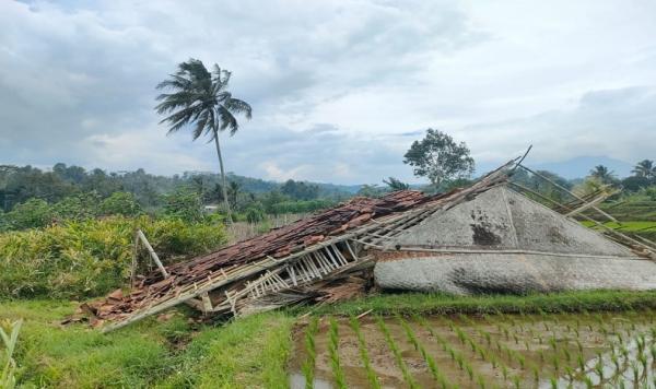 Diterjang Angin Ribut, Kandang Ayam di Leuwisari Roboh, Kerugaian Capai Rp20 Juta