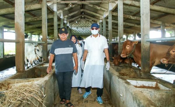 946 Sapi Sembuh dari PMK, Pemkab Lamongan Bersiap Buka Kembali 15 Pasar Hewan