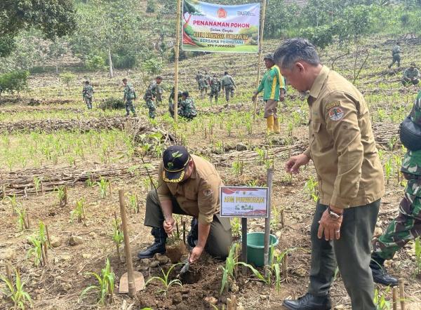 Perhutani KPH Purwodadi Dan Kodim Grobogan Lakukan Penanaman Pohon di Sedayu, Ini Tujuannya