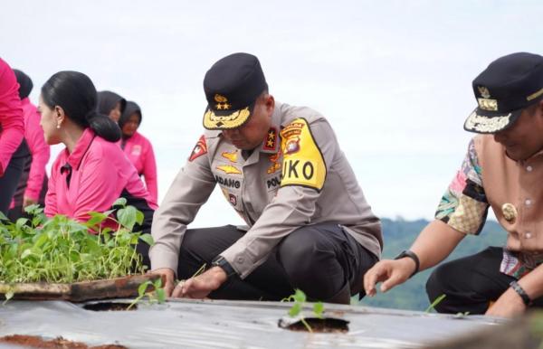 Dorong Ketahanan Pangan, Kapolda Sulbar Tanam Komoditas Strategis di Botteng Mamuju