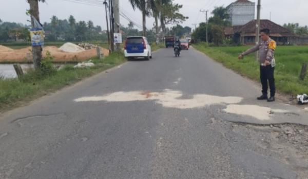 Ibu Rumah Tangga Tewas Terlindas Truk di Pringsewu, Sopir Melarikan Diri