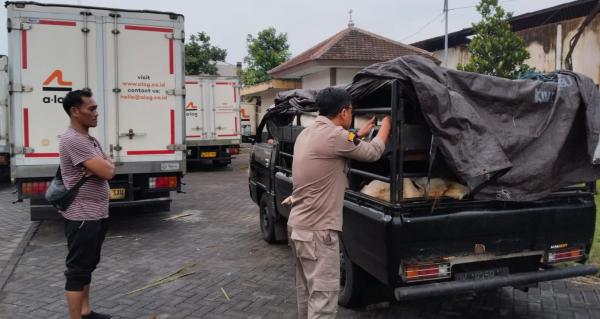 Cegah Penyebaran PMK, Karantina Jawa Timur Gagalkan Penyelundupan 19 Ekor Kambing ke Bali