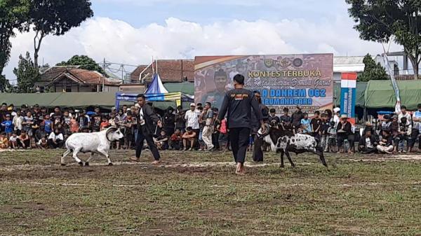 Seni Ketangkasan Domba Garut Piala Danrem 062/Tn Sukses Digelar