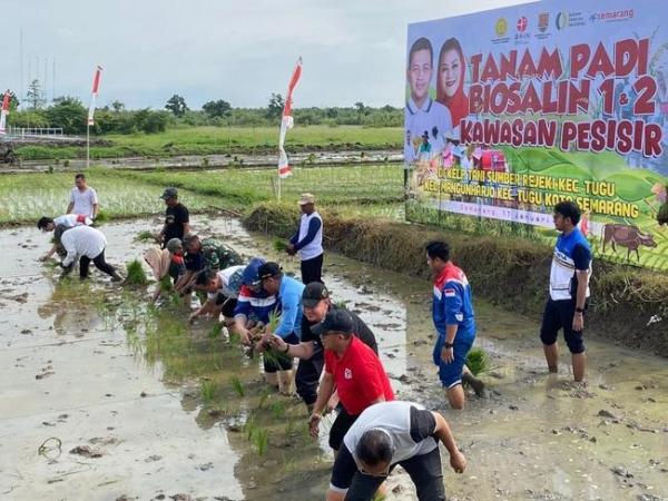 Kolaborasi Pemkot Semarang Dorong Swasembada Pangan Berkelanjutan di Kota Semarang