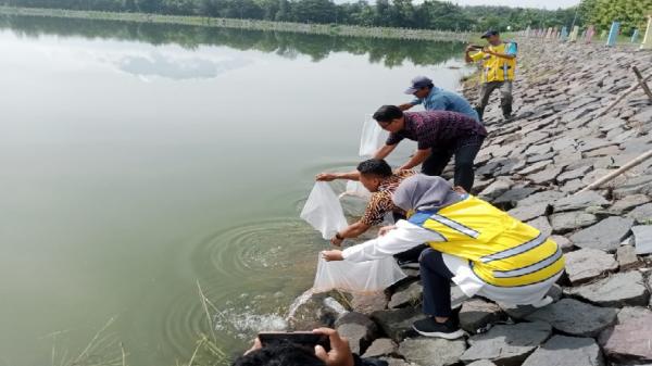 PT BPR BKK Karangmalang Tebar 100.000 Benih Ikan di Waduk Kembangan dan Embung Bawang