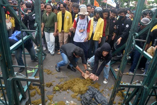 Demo Indonesia Gelap, Mahasiswa Semarang Lempar Kotoran Sapi dan Duduki DPRD Jateng