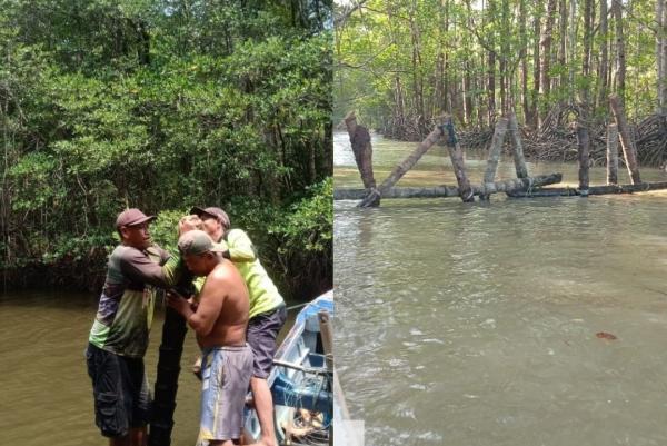 Masih dari Ujung Kulon: Cara Licik Pemburu Badak Jawa Menyelinap ke TNUK Terungkap!