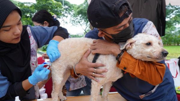 Lippo Cikarang Cosmopolis Hadirkan Taman Anabul, Tempat Bermain Hewan Peliharaan