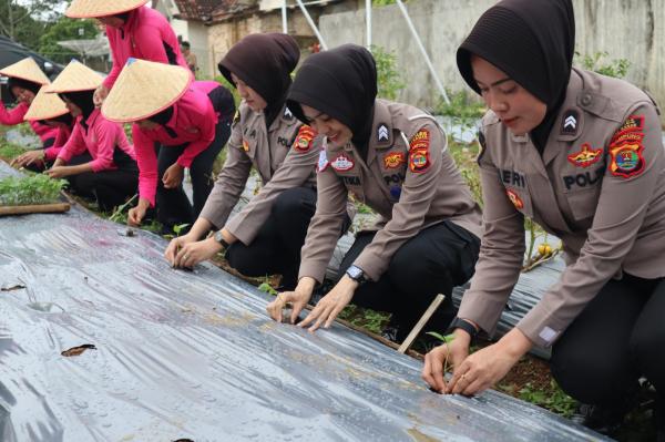 Launching Penguatan Program P2L, Bhayangkari Cabang Way Kanan Manfaatkan Tanam Sayur Mayur