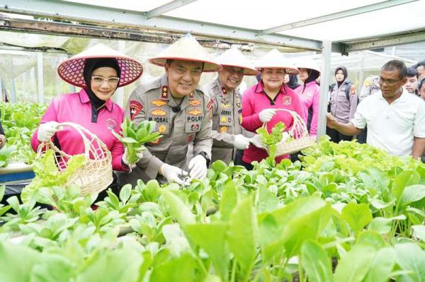 Polda Riau Ikuti Luncurkan Program Pekarangan Pangan Lestari dan Laksanakan Ketahanan Pangan